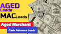 provide aged merchant cash advance leads