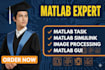 do develop matlab gui and simulink models for your projects