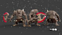 do creature 3d models for roblox, unreal, unity