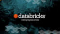 help you with data bricks