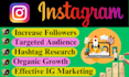 do organic instagram marketing or promotion for superfast growth