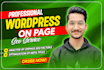 do onpage website SEO optimization for your wordpress site