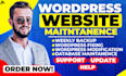 do website maintenance and provide wordpress website update, help and support