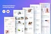 clean HTML5, css3 , javascript code ,wordpress webdevloper