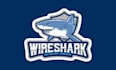 do wireshark packet analysis projects