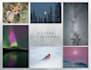 provide stunning nature, wildlife, and night photography