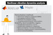 perform nonlinear vibration dynamics analysis