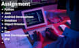 solve your programming assignments and tasks