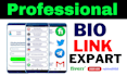 professional setup beacons link tree link in bio only 1 hour