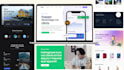 manages web development and maintenance services for app