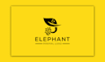 create minimalist flat logo design for your brand identity