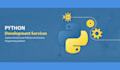 be your professional full stack python django web developer