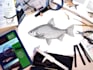 make you fish scientific illustrations