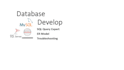 design database, erd, write sql queries, scripts, troubleshooting
