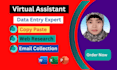 do data entry web research excel data copy paste and email collect