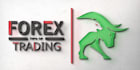 design forex logo for your business