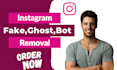 remove ghost fake instagram followers