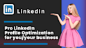 optimize a professional linkedin profile