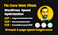 improve core web vitals and wordpress page speed issues