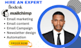 be your flodesk and mailchimp email marketing expert