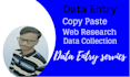 do copy paste, web research, data collection and excel data entry