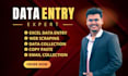 do accurate data entry, web research, and excel data entry jobs