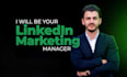 be your b2b linkedin marketing manager and content creator