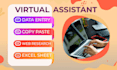 do virtual assistant, data entry, copy paste and web research