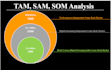 estimate market size, tam, sam, provide financial forecast or model