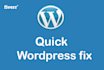 fix and edit wordpress website