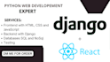 design and develop django or flask web apps with react js