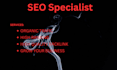 be your SEO specialist, wordpress, shopify, woocomerce