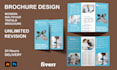 qualified brochure design and create a trifold brochure design