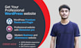 build a professional wordpress website