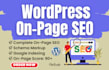complete wordpress on page SEO service with onsite onpage optimization expert