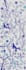 do embroidery digitizing logo, repeat pattern into dst, emb