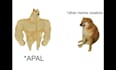 make you laugh with personalized profile memes