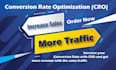 provide cro services to increase conversions and revenue
