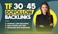 make high tf homepage dofollow seo backlinks