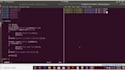 develop and debug linux operating system tasks and software engineering projects