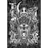create illlustration black n white