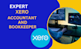 manage accounting and bookkeeping in xero expert