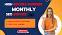 do monthly off page SEO with high quality manual linkbuilding