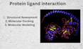 perform autodocking for your protein ligand complex