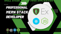 develop mern stack web application