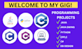 do java, java swing, python, cpp, c, c sharp programming and database design