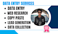 do excel data entry, copy paste, web research and PDF to excel