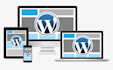 deploy your website on a local o remote server