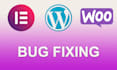 fix wordpress, elementor and woocommerce bugs errors