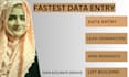 fastest pro data entry expert and internet research